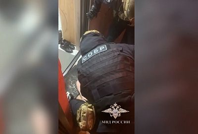 Полиция опубликовала видео задержания подозреваемого в убийстве пенсионерки в Сочи 