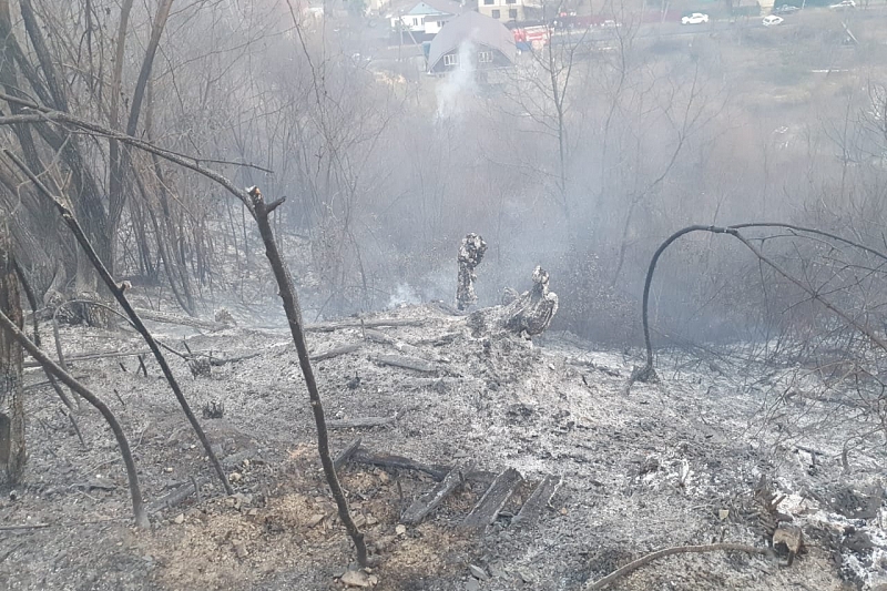В Сочинском национальном парке произошел пожар на площади 2 га