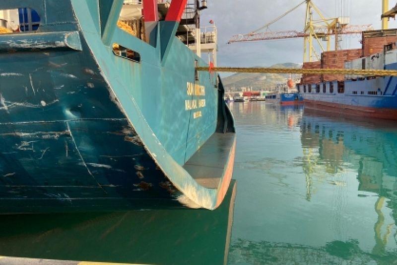 Два теплохода не разошлись в порту Новороссийска