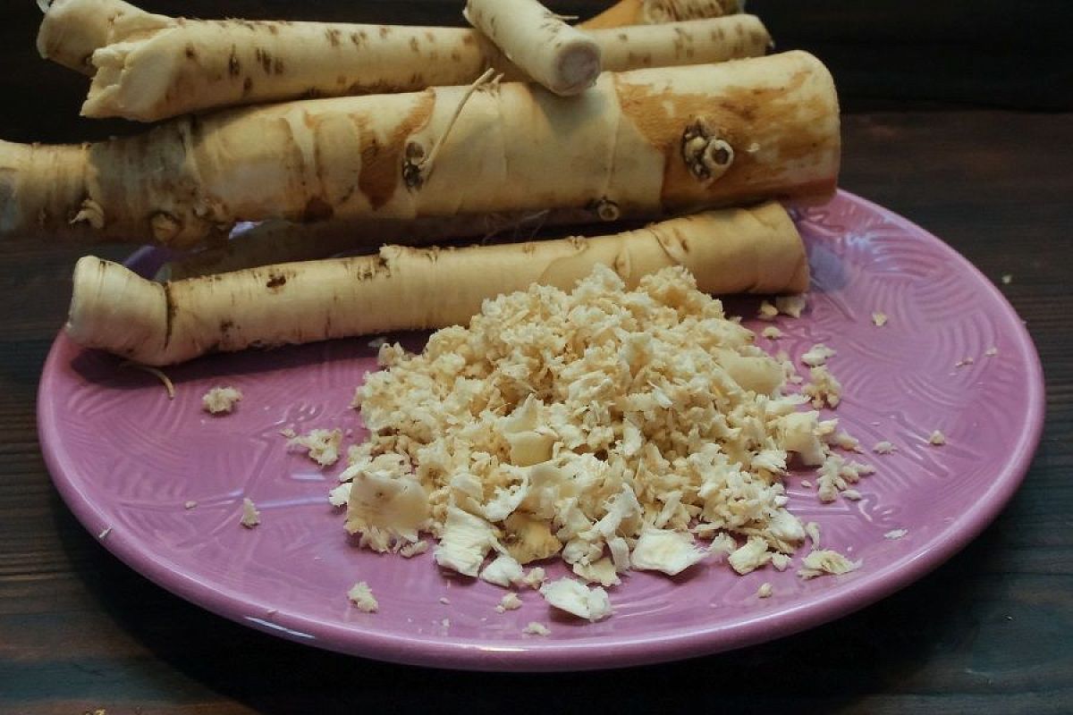 И защитник, и огородный доктор: в чем польза хрена на огороде