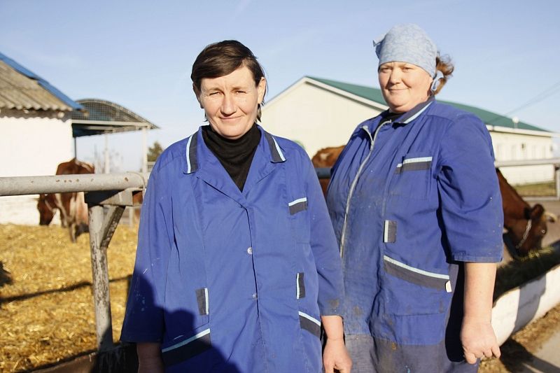 Доярки Татьяна Ефремова и Валентина Алиева много лет работают на молочно-товарной ферме № 3 хозяйства.