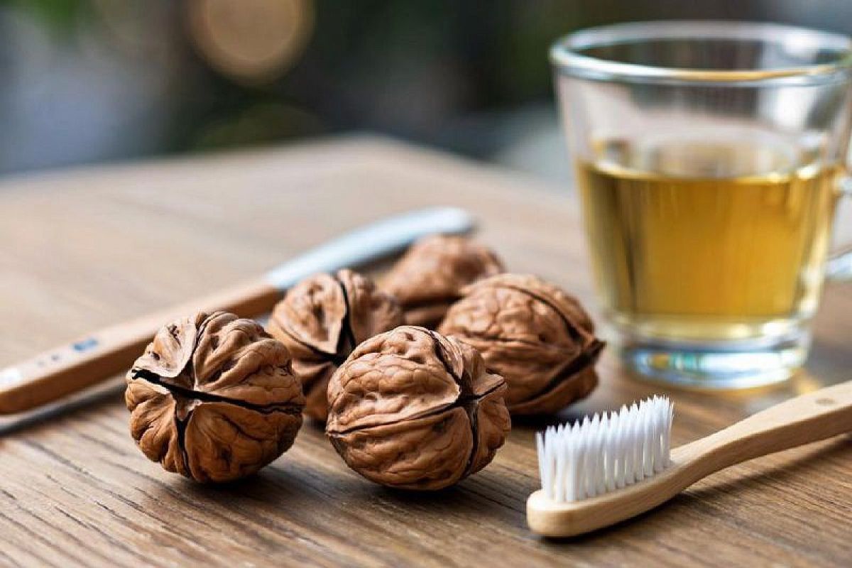 Укрепляем зубы и десны ореховым отваром: проверенное народное средство