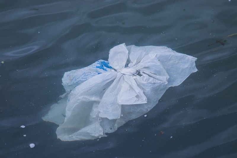 Одноразовая посуда, пакеты и ватные палочки: Минпромторг предложил запретить импорт товаров из пластика
