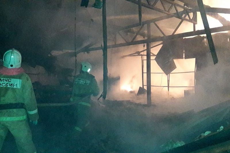 Опубликованы фото с места крупного пожара на складе