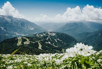 Уникальную экотропу откроют в горах под Сочи