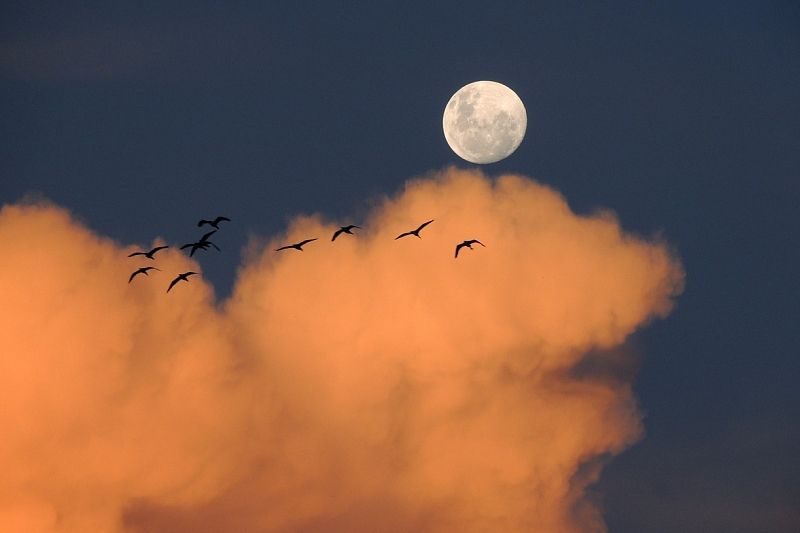 Теневой затмение Луны 5 мая: когда его можно увидеть в Краснодарском крае