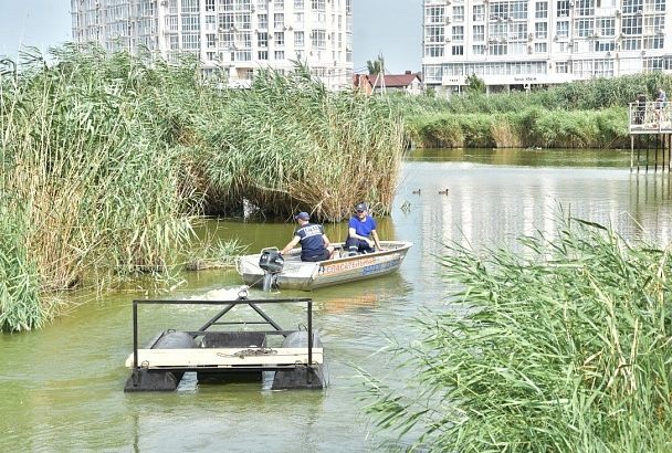 Известкование и аэрацию озера Толока провели в Славянске-на-Кубани в рамках программы по сохранению водоема
