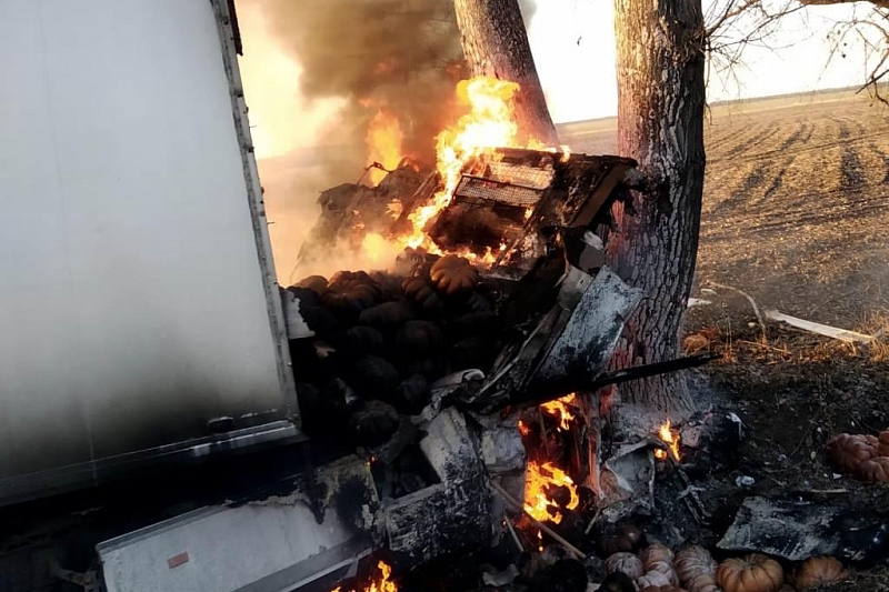 В Краснодарском крае грузовик въехал в дерево и загорелся. Водитель погиб