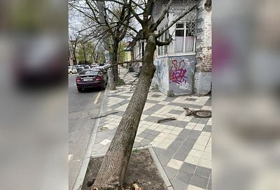 Ураган в Краснодаре: в центре города на прохожего упал рекламный щит