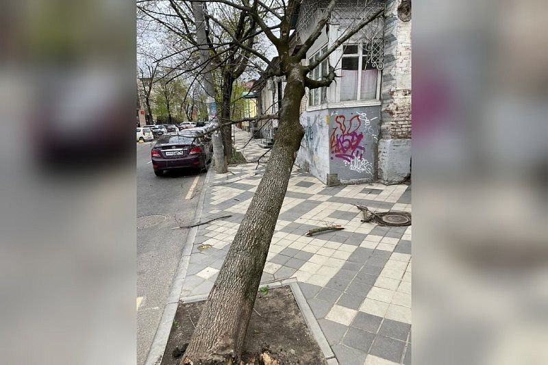 Ураган в Краснодаре: в центре города на прохожего упал рекламный щит