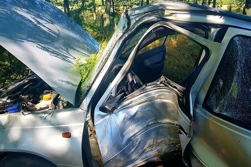 В Краснодарском крае водитель на иномарке врезался в дерево. Пострадали двое