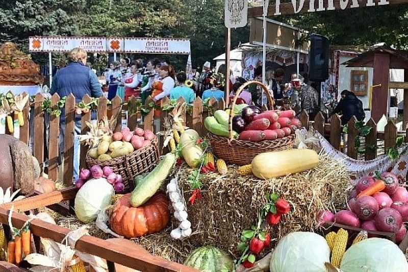 Фермеры попросили главу Кубани Вениамина Кондратьева провести праздник урожая в сокращенном формате