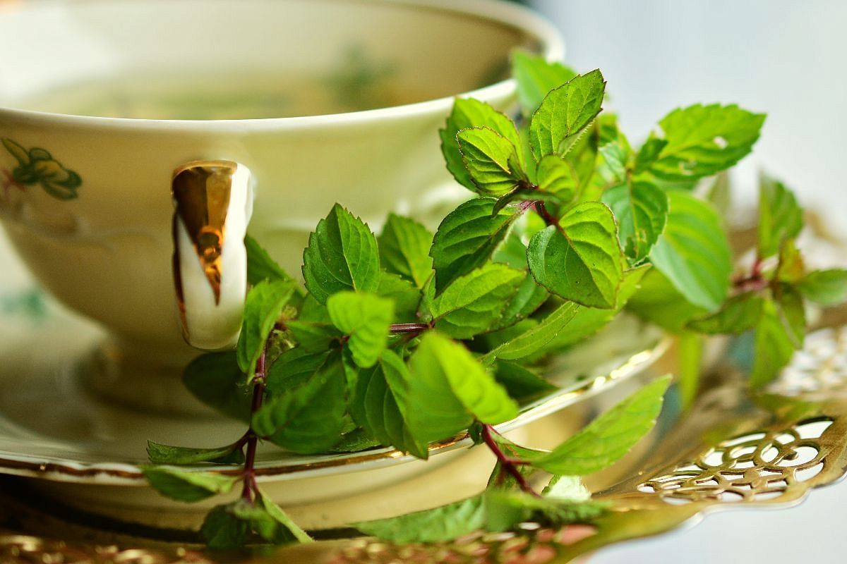 Никакие магнитные бури мне не страшны. Потому что в такие дни готовлю чудо-напиток, пью его и живу спокойно - без мигреней