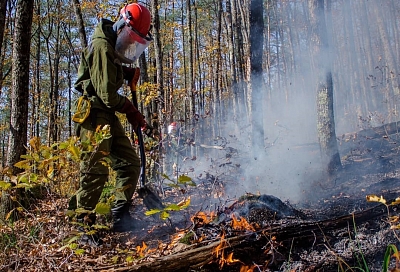 Глава Северского района призвал местных жителей спасти горящий лес