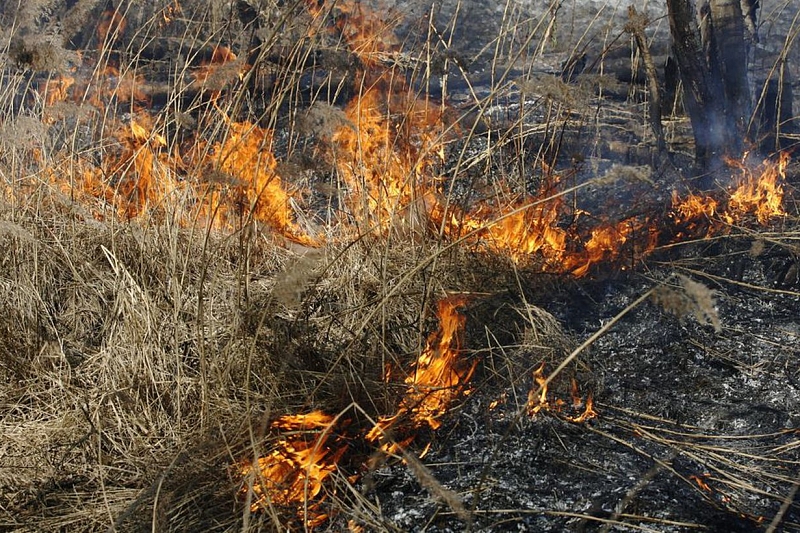 В Сочи потушили природный пожар на площади 300 кв. м