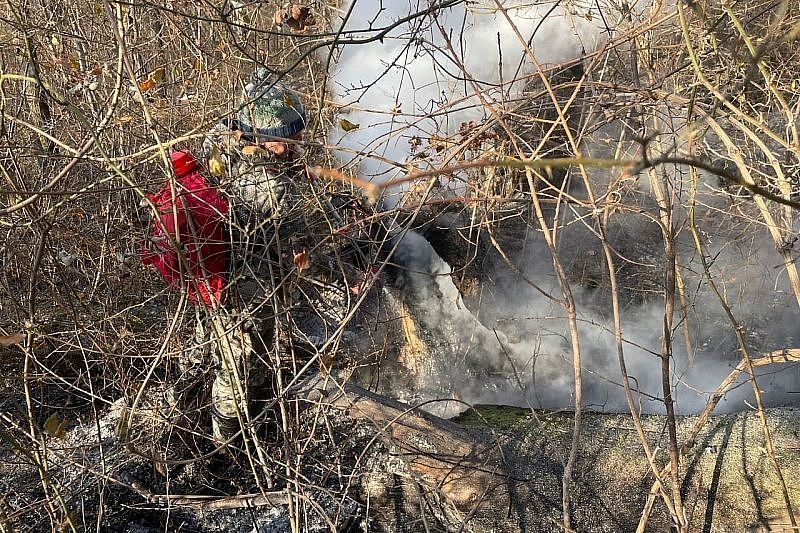 В Сочинском нацпарке ликвидирован один из двух лесных пожаров