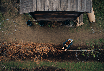 Как укрыть сад на зиму в середине ноября