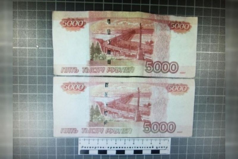 Полицейские в Сочи поймали сбытчиков фальшивых пятитысячных купюр