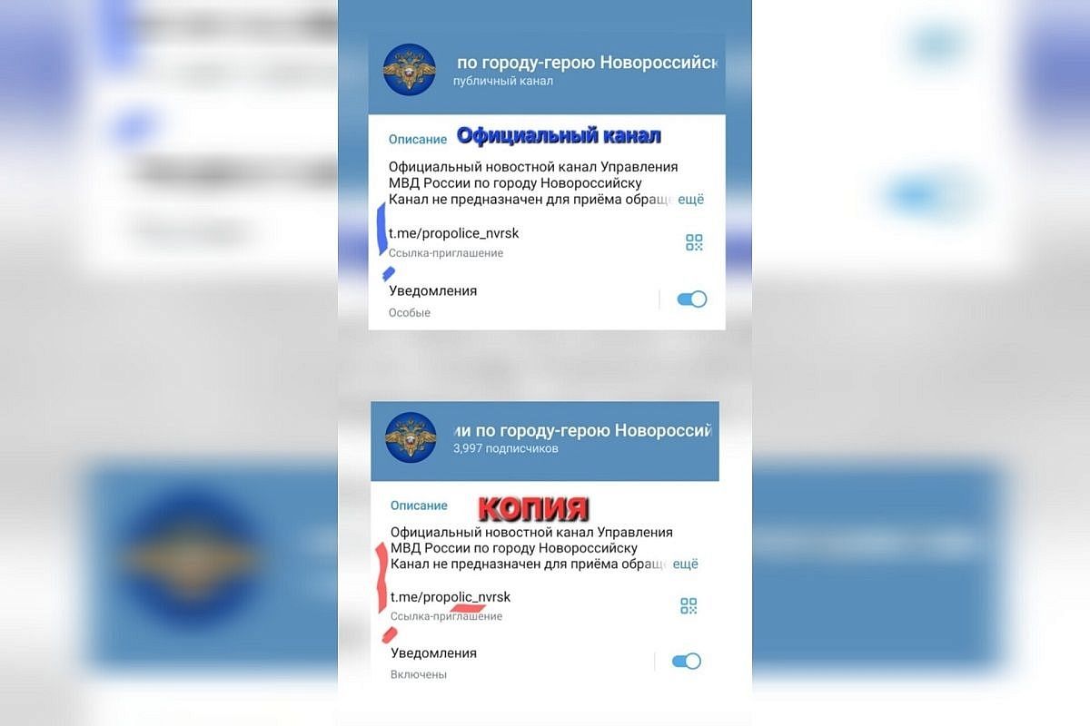 В МВД предупредили о фейковом аккаунте полиции Новороссийска в Telegram