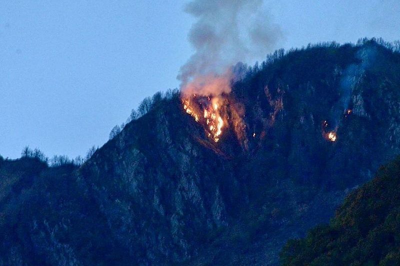 В Кавказском заповеднике из-за выстрела ракетницы загорелся 1 га леса