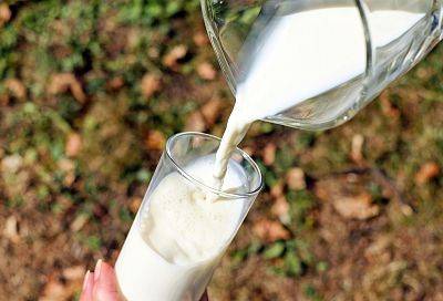 Это вам не молоко: врач рассказал о недостатках растительного молока