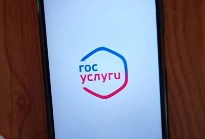 Каждый пятый житель Кубани воспользовался сервисами «жизненные ситуации» на Госуслугах в 2025 году