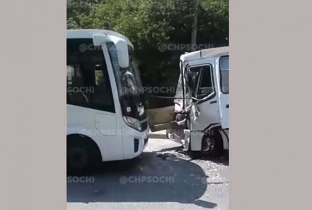 Лобовая авария с участием двух автобусов случилась в Сочи