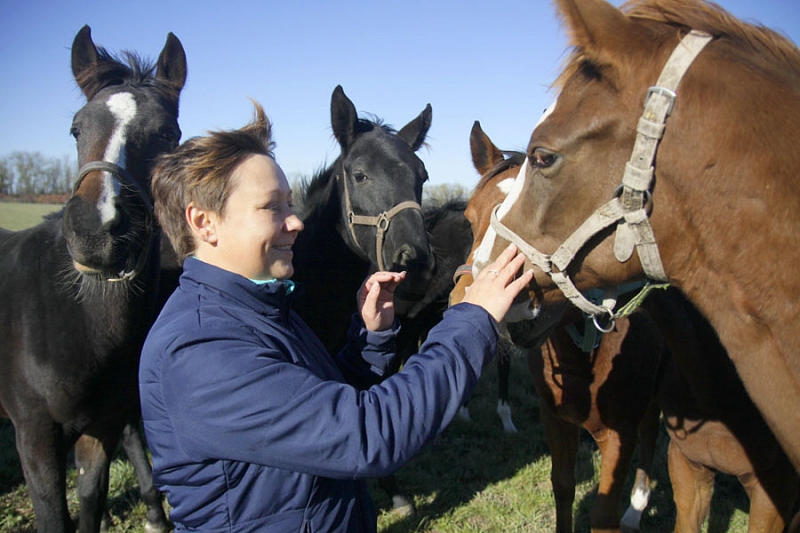 Иппотерапия: лошади действительно лечат?