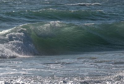 Разлив мазута не повлиял на зоопланктон крымского шельфа Черного моря