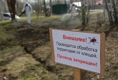 В Краснодаре от опасных насекомых обработали 30 гектаров зеленых зон
