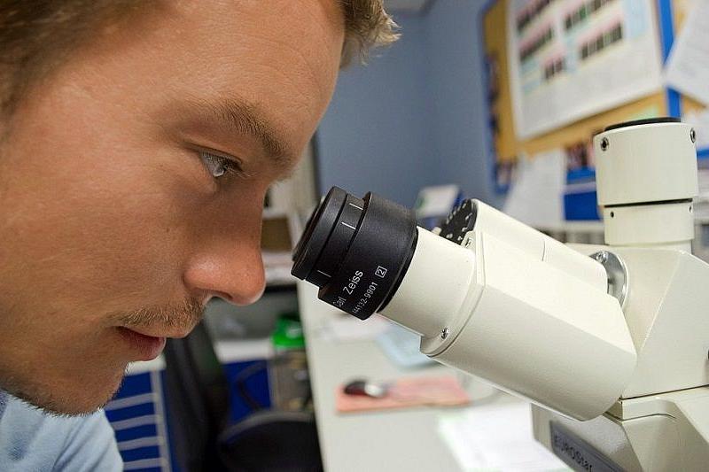 Российские ученые создают биоэлектронный нос для распознавания запахов