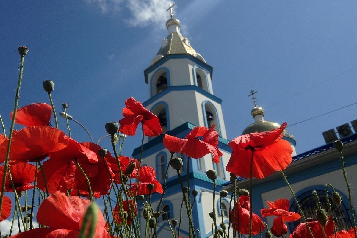 Что означает имя Геленджика – накрытая поляна, ласка, цветок мака или железо?