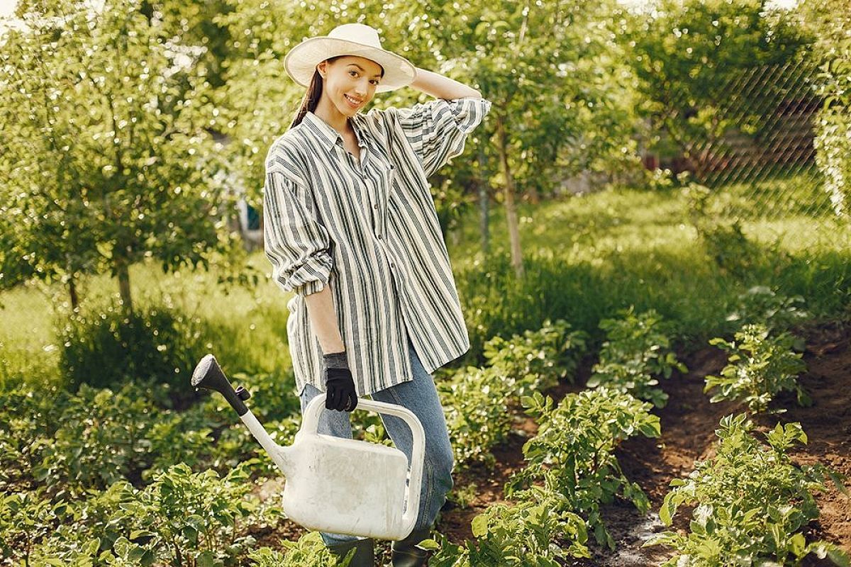 Вот 10 важных дел в саду и огороде на июль 2025, которые обсуждают дачники