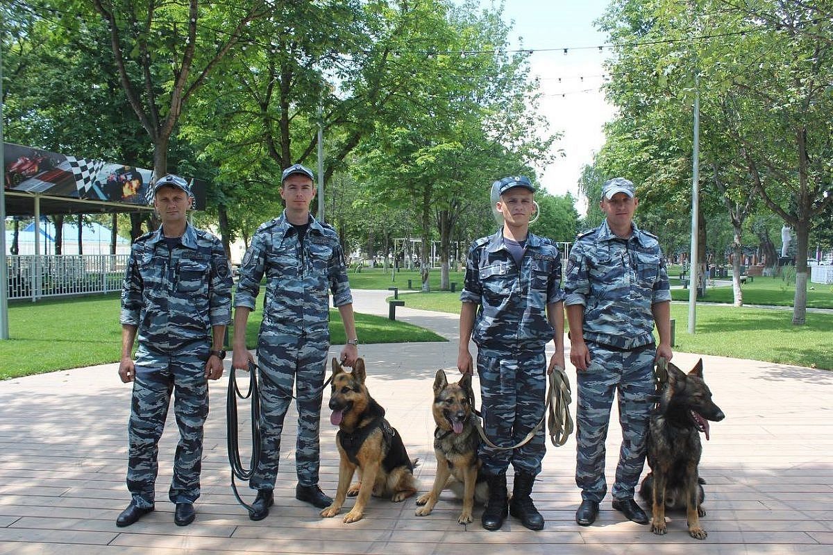 Без вести пропавшего пенсионера с расстройством памяти нашли в лесу на Кубани