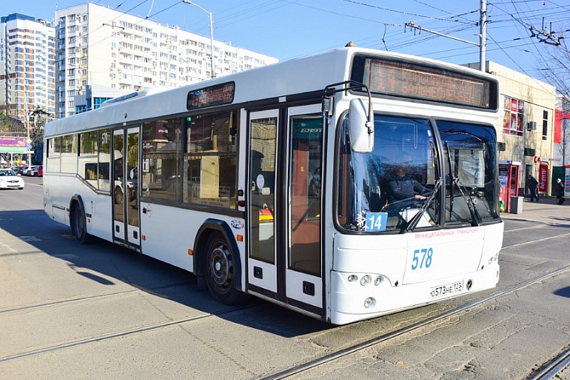 С 28 марта временно отменены автобусные рейсы между городами и районами Краснодарского края