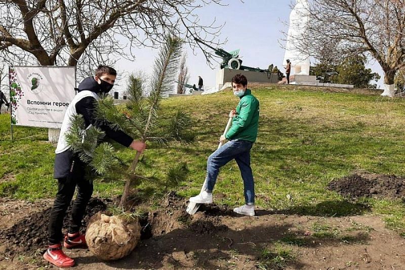 На мемориале «Сопка героев» в Крымском районе высадили «Сад памяти»