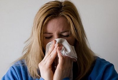 Ложная тревога: как отличить аллергию от простуды