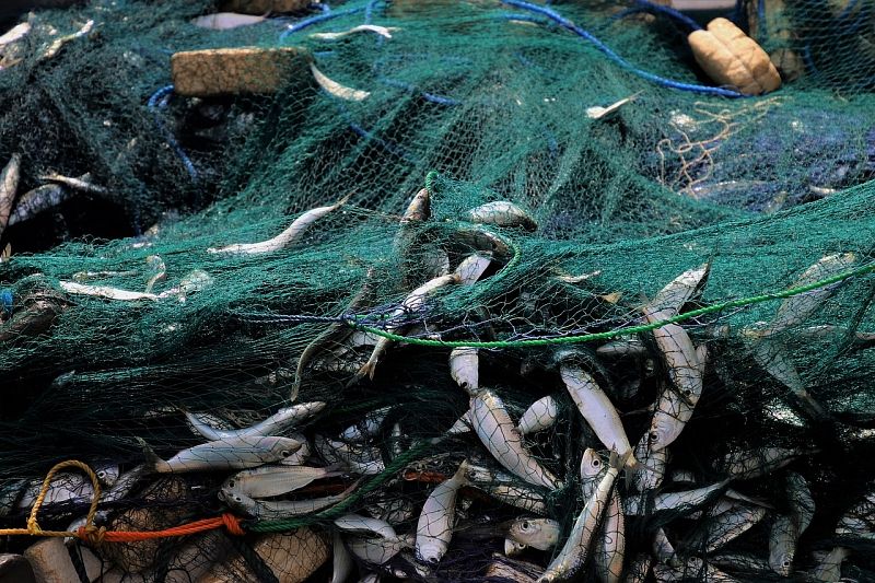 Пограничники задержали браконьеров за рыбалку на 340 тыс. рублей
