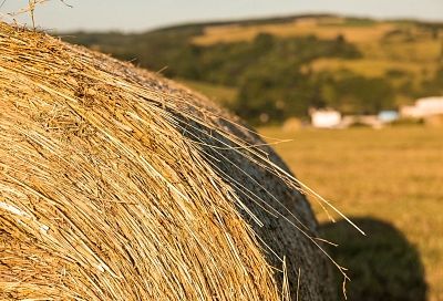 Итальянец был шокирован русской деревней в Крыму