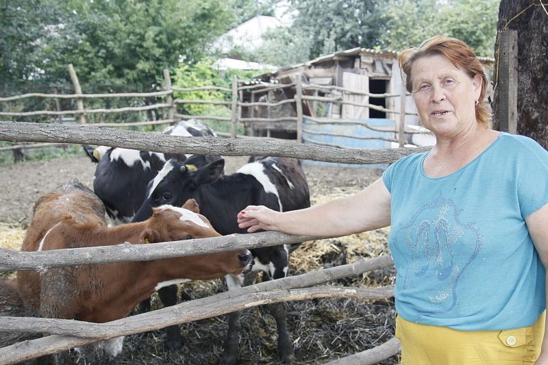 Мама и бабушка Лидия Фефелова сама всю жизнь проработала на колхозной ферме и теперь помогает детям по хозяйству.