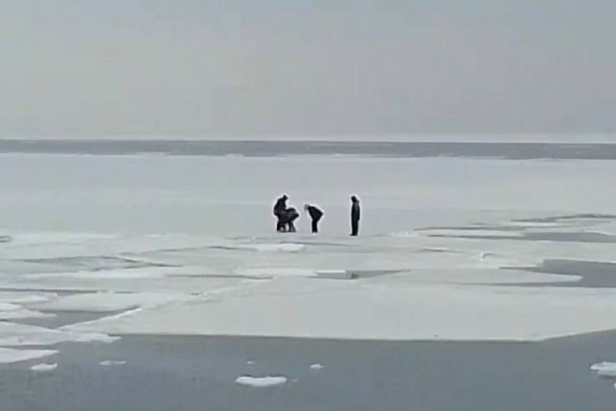 В Приморье школьники застряли на дрейфующей льдине в море