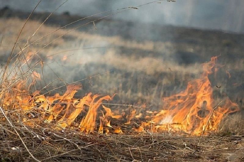 На Черноморском побережье Краснодарского края объявили самый высокий  5-й класс пожароопасности