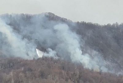К тушению пожаров в Сочи привлекли вертолет МЧС