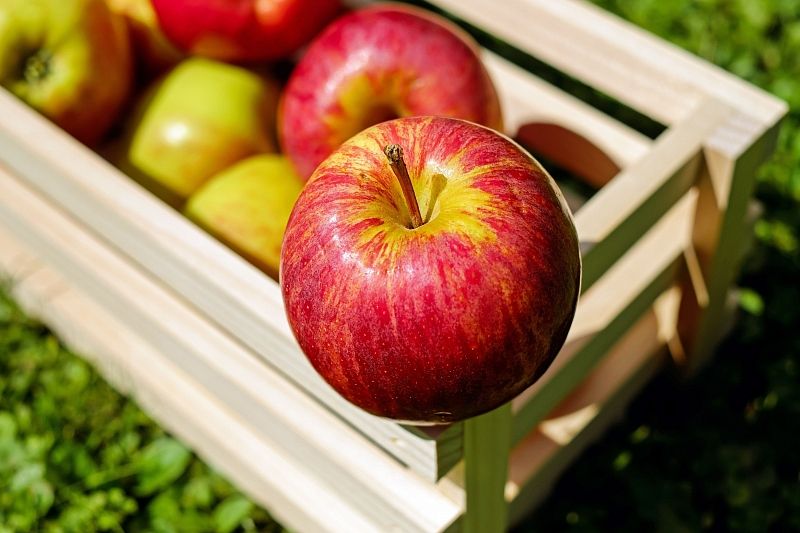 В Роспотребнадзоре рассказали, как надо хранить и есть яблоки, чтобы получить больше пользы