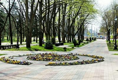Рейтинговое голосование по выбору зеленых зон Краснодара для благоустройства в 2022 году пройдет в режиме онлайн