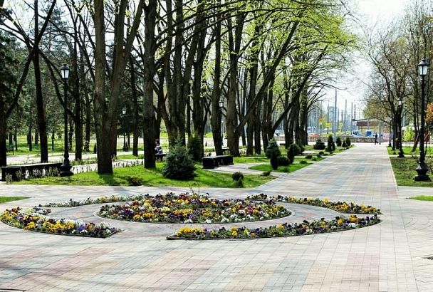 Рейтинговое голосование по выбору зеленых зон Краснодара для благоустройства в 2022 году пройдет в режиме онлайн