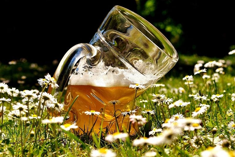 Пять проблем со здоровьем, которые обязательно появляются у всех любителей пива