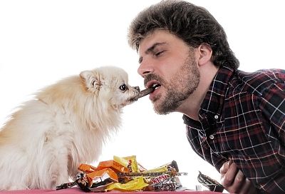 От такой любви больше проблем: как может отразиться на здоровье человека слишком тесная дружба со своим мохнатым питомцем