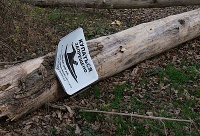 Три человека утонули за сутки в Краснодарском крае