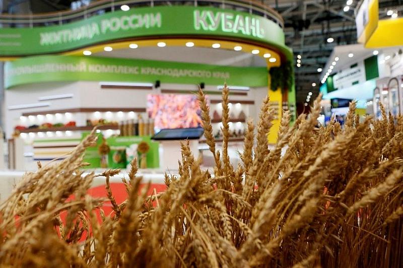 Краснодарский край представит 50 видов продукции на российской агровыставке «Золотая осень»